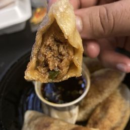 Fried Dumplings