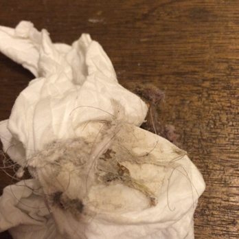 Grakei Maids - I ran a tissue over floor next to baseboard. - Home Cleaning Near Me - Madison, Wisconsin