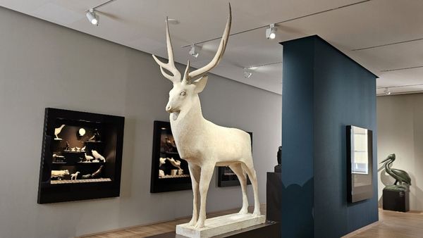 Entrée du Musée des Beaux-Arts by null