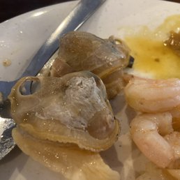 Old clams cold shrimp