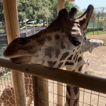 Abilene Zoo - Zoos Near Me - Abilene, Texas