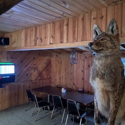 The Lodge In Riverview - A coyote?