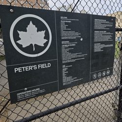 Peter's Field