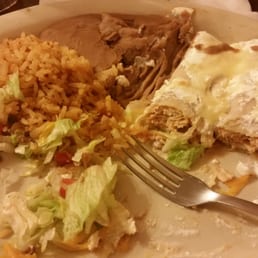 Sour Cream Chicken Enchiladas