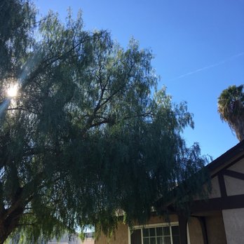 Tony's BC Tree Service - Tree Services Near Me - Orange, California Tony's BC Tree Service - Tree Services Near Me - Orange, California