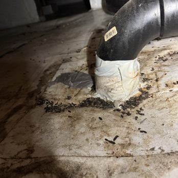 Attic Pros - Rats! - Pest Control Near Me - Oakland, California Attic Pros - Rats! - Pest Control Near Me - Oakland, California