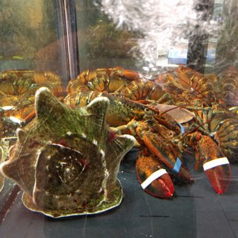 El Peix d'Or - live lobster - Seafood Near Me - Barcelona, B El Peix d'Or - live lobster - Seafood Near Me - Barcelona, B