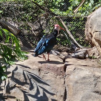Discovery Cove - Amusement Parks Near Me - Orlando, Florida