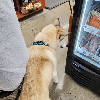 Pet Food Express - She loves those bones! - Pet Stores Near Me - Sacramento, California Pet Food Express - She loves those bones! - Pet Stores Near Me - Sacramento, California