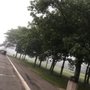 Photo of Nichols Rest Area