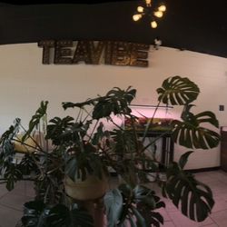 user provided Tea Vibe photo