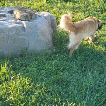 RJ WagsPark - Dog Parks Near Me - Newtown, Ohio RJ WagsPark - Dog Parks Near Me - Newtown, Ohio