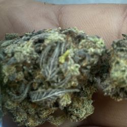 DDM Cannabis