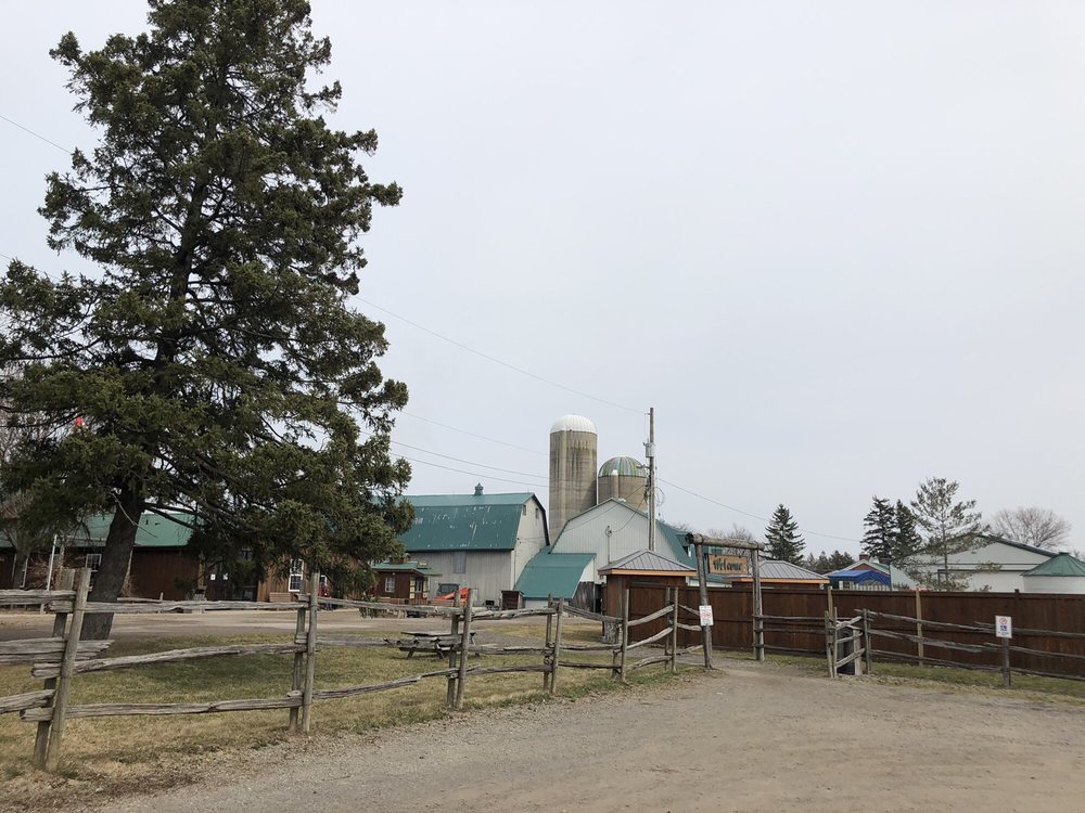 WHITE MEADOWS FARMS 47 Photos & 17 Reviews 2519 Effingham Street