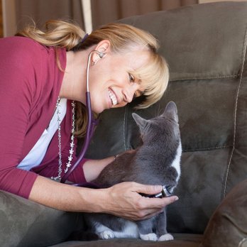 Lap Of Love - Veterinarians Near Me Lap Of Love - Veterinarians Near Me