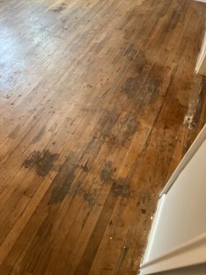 Eagle Hardwood Flooring