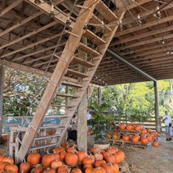 Marando Farms & Ranch
