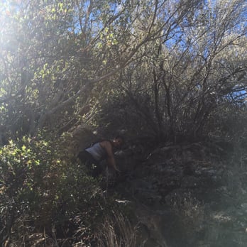 Rose Valley Falls - Steep inclines up the hillside. - Hiking Near Me - Ojai, California Rose Valley Falls - Steep inclines up the hillside. - Hiking Near Me - Ojai, California