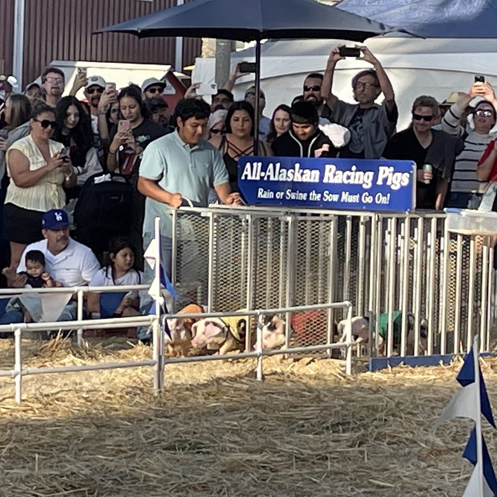 Ventura County Fairgrounds - Pig racing- hilarious! - Venues & Event Spaces Near Me - Ventura, California Ventura County Fairgrounds - Pig racing- hilarious! - Venues & Event Spaces Near Me - Ventura, California