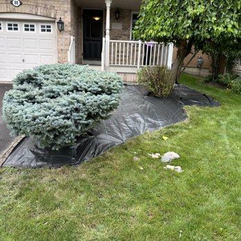 Moose Landscaping - Protecting the garden beds from weeds - Landscaping Near Me Moose Landscaping - Protecting the garden beds from weeds - Landscaping Near Me
