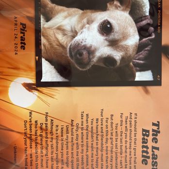 Small Paws Cremations - Poem - Pet Cremation Services Near Me - Los Angeles, California Small Paws Cremations - Poem - Pet Cremation Services Near Me - Los Angeles, California
