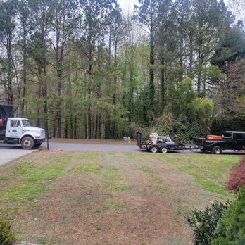 Silver Tree Service - Tree Services Near Me - Alpharetta, Georgia Silver Tree Service - Tree Services Near Me - Alpharetta, Georgia