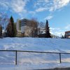Elderberry Park gift card