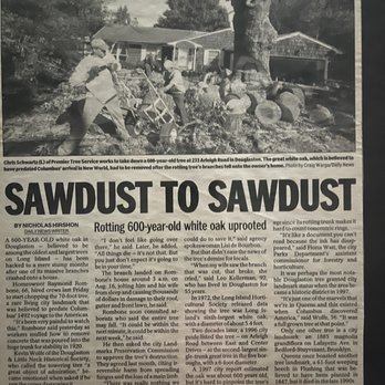 Premier Tree Service - Article on largest tree take down - Tree Services Near Me