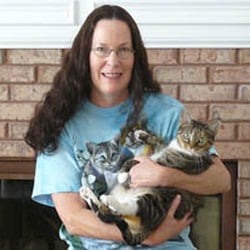 Guardian Angel Cat Sitting