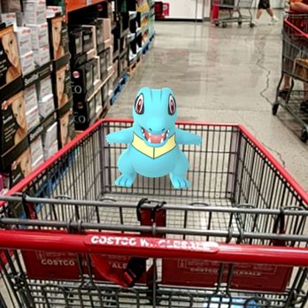 Costco Gasoline - You can buy Totodiles in bulk here too! - Gas Stations Near Me - Fullerton, California Costco Gasoline - You can buy Totodiles in bulk here too! - Gas Stations Near Me - Fullerton, California
