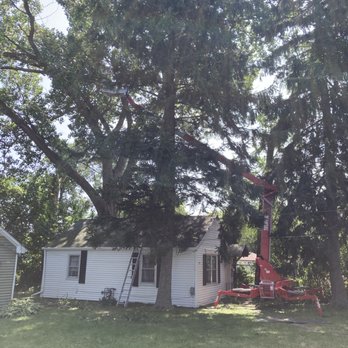 Tried & True Tree Care - Tree Services Near Me - Kenosha, Wisconsin Tried & True Tree Care - Tree Services Near Me - Kenosha, Wisconsin