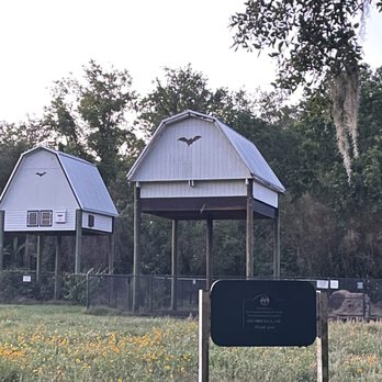 The Bat House - Bat houses waiting for sunset - Active Life Near Me - Gainesville, Florida