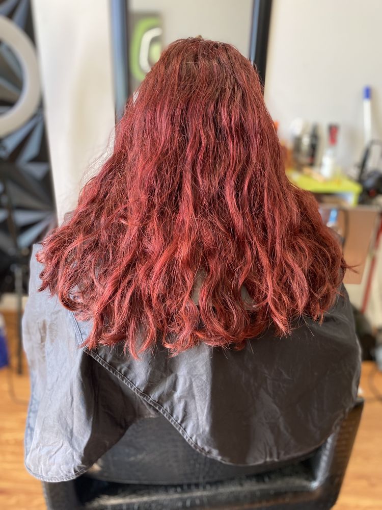 Wendy Hair Salon Logo