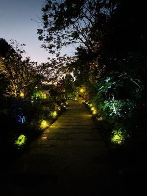 Sonya's Garden by null