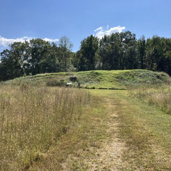 Pinson Mounds State Archaeological Park - Citadel area mound... worth the hike - Hiking Near Me - Pinson, Tennessee Pinson Mounds State Archaeological Park - Citadel area mound... worth the hike - Hiking Near Me - Pinson, Tennessee