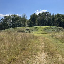 Pinson Mounds State Archaeological Park - Citadel area mound... worth the hike