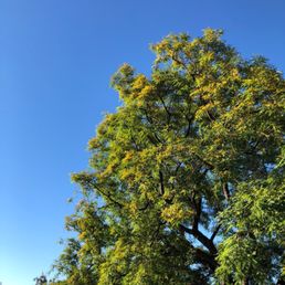 Beautiful Day for a run!