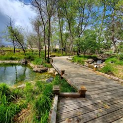 Edith Morley Park - Boardwalk