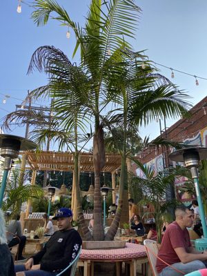 De Buena Planta by null