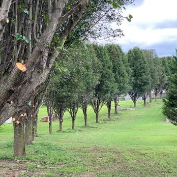 Bori Tree & Lawn - a view of a park - Tree Services Near Me Bori Tree & Lawn - a view of a park - Tree Services Near Me