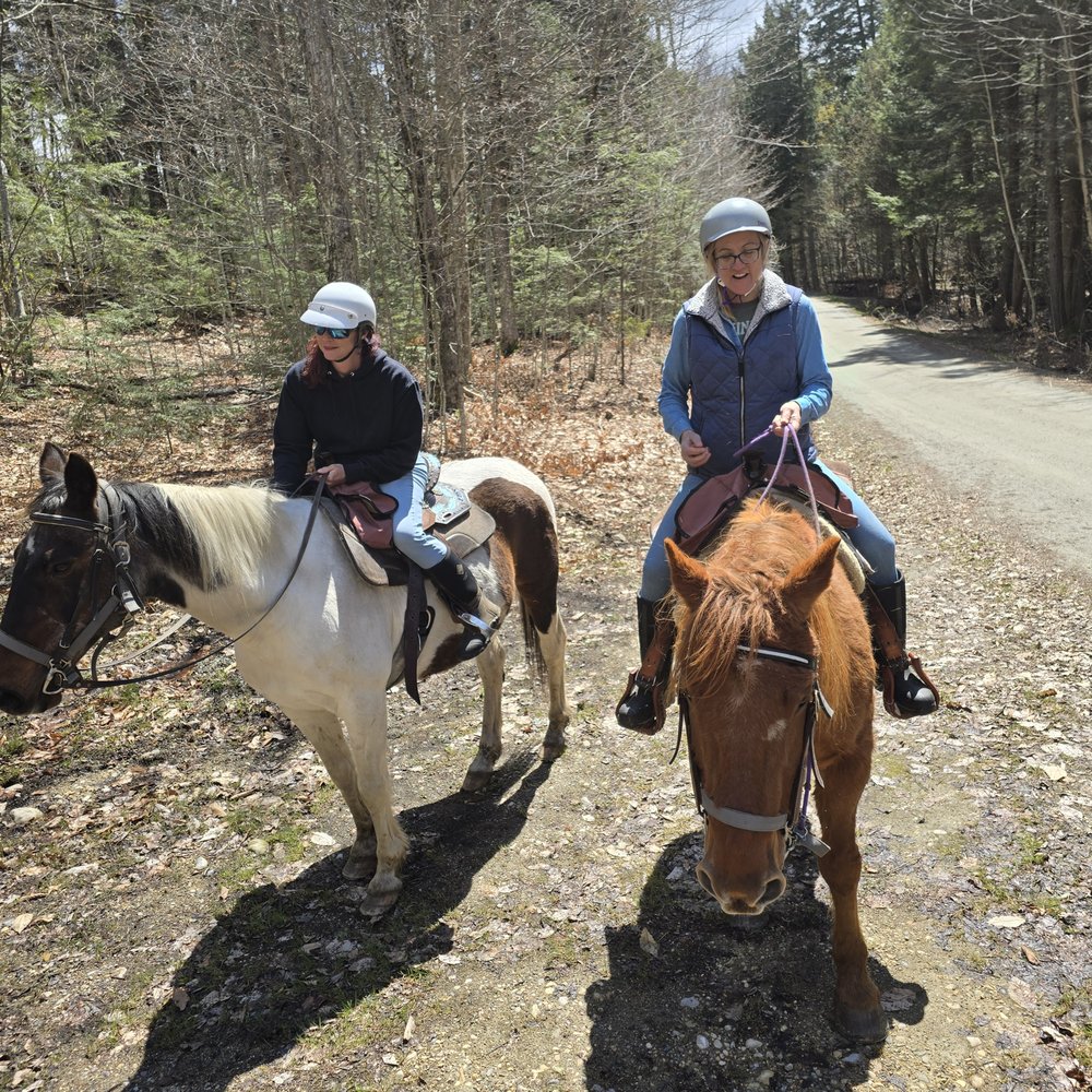 Horses For Hire - Horseback Riding Near Me - Peru, Vermont