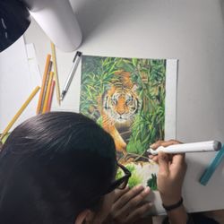Renaissance Art School