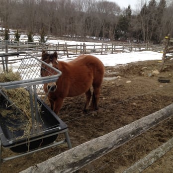 Whimsy Brook Farm Ltd - Winter coat - Horseback Riding Near Me - Redding, Connecticut