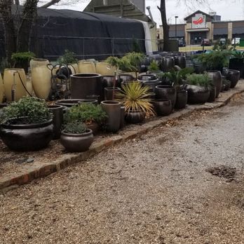 Calvert's Plant Interiors - Nurseries & Gardening Near Me - Oklahoma City, Oklahoma Calvert's Plant Interiors - Nurseries & Gardening Near Me - Oklahoma City, Oklahoma