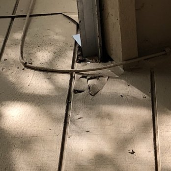Texcode Inspection Service - Flashing should not terminate behind siding or water damage is the result. - Home Inspectors Near Me