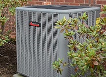 Slide of Blue Stream Services