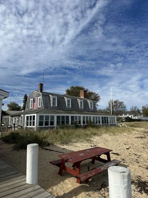 The Black Dog Tavern by null
