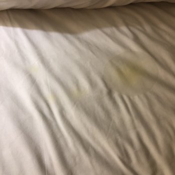 Holiday Inn Bristol Conference Ctr - Pee stains on the bed sheets - Hotels Near Me - Bristol, Virginia