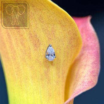 Brass Elephant Piercing - Piercing Near Me - Chesterfield, Missouri