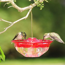 The Bird Store - Hummblosssom Feeder